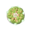 Restaurantware-Russian Piping Tip, 1 Petal Cake Decor Piping Tip - #39, Corrosion-Resistant, Stainless Steel Decorating Tip For Frosting, Dishwashable, Decorate Cupcakes, Cakes, or Cookies