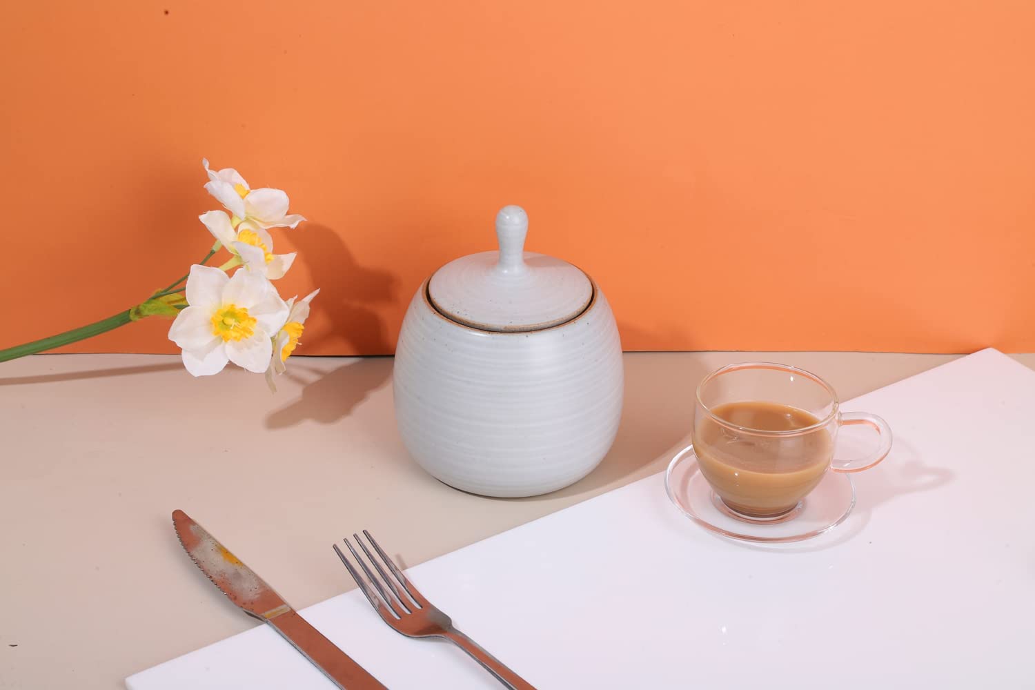 Amoysanli Kitchen Canisters Retro Ceramic Jar with Airtight Lid White