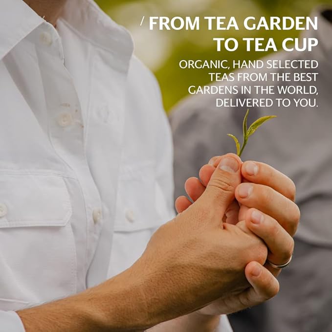 Grace Farms CLASSIC ORGANIC ICED TEA (Twelve 1qt. Brew Bags, 3 Gallons) | Premium Bold & Brisk | Easy Cold Brew 3 Gallons | Gives Back 100% of Profits