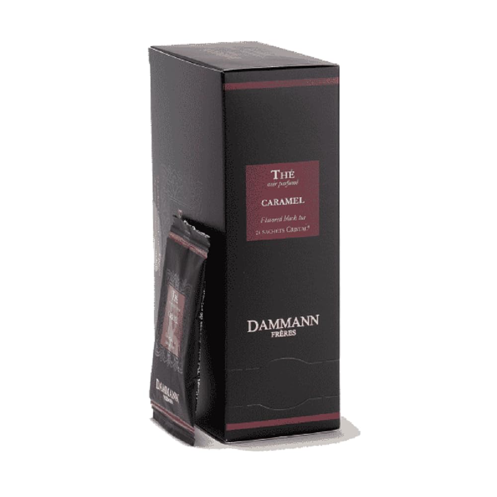 Dammann Freres Satchets, Chai Tea Bags, Premium Gourmet French Black Tea, Blend Ginger, Cinnamon, Cardamom Flavors, Individually Wrapped, 24 Count (Single Pack)