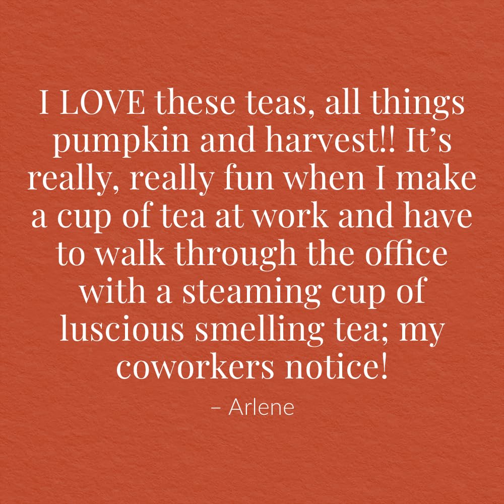 The Republic of Tea: Fall Harvest Tea Assortment Cube, 24 Tea Bags