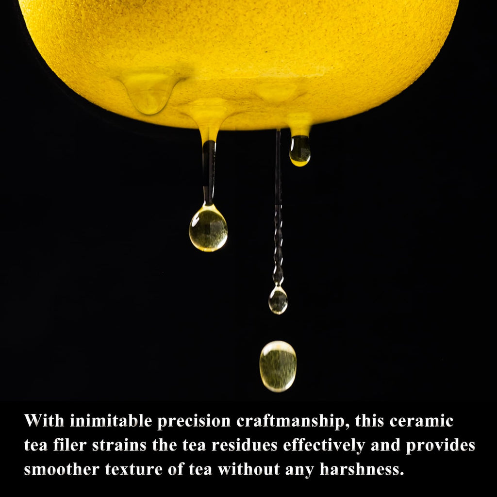 Wablade Heatproof Glass Teapot with Ceramic Infuser, 13.5 fl oz, Japan