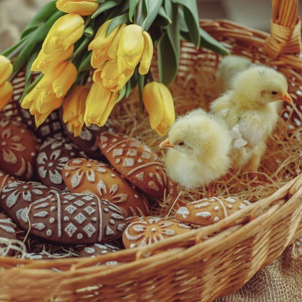 MOTEERLLU Wooden Springerle Cookie Molds for Baking, Eggs