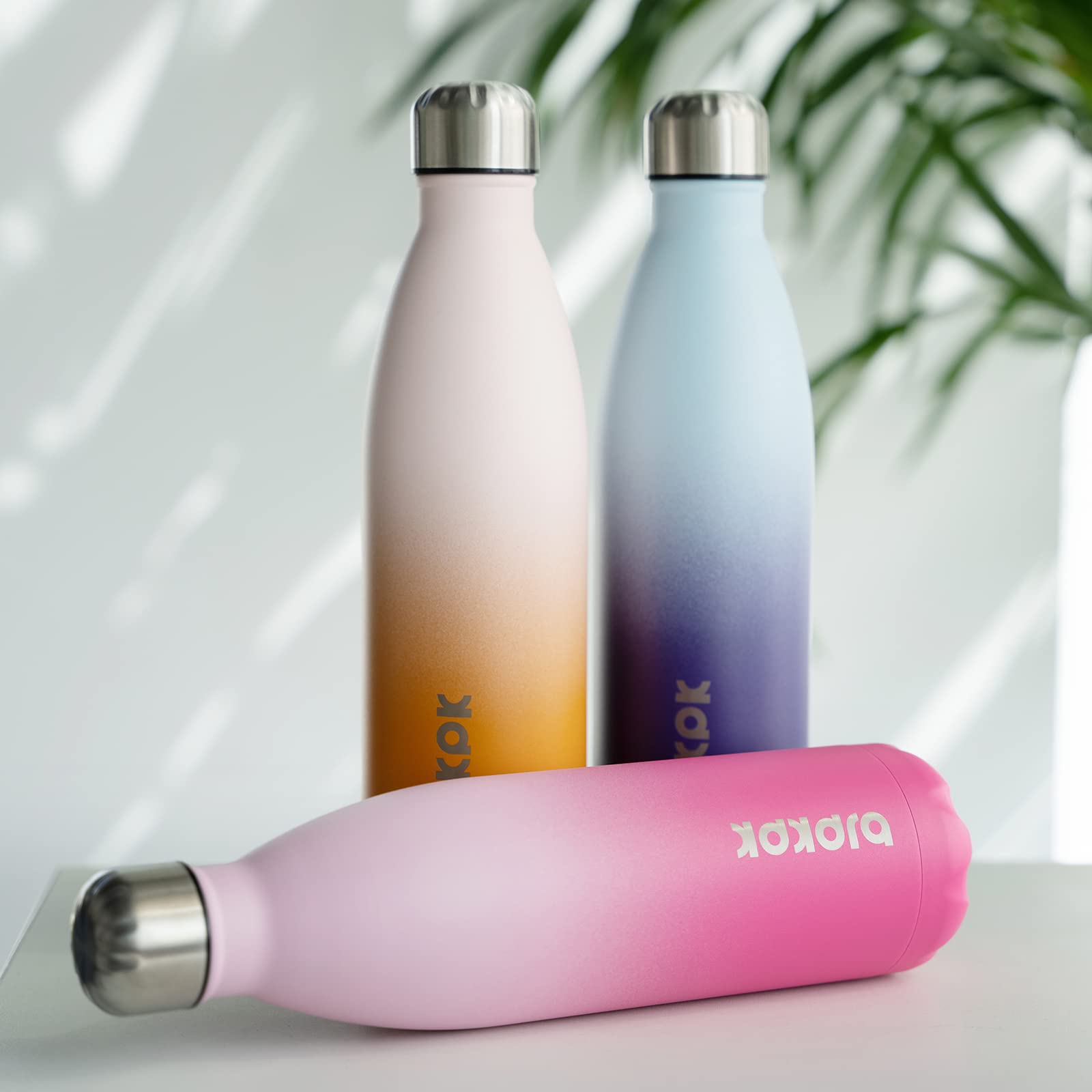 BJPKPK 25 oz Insulated Water Bottle, Stainless Steel Flask, Leak Proof