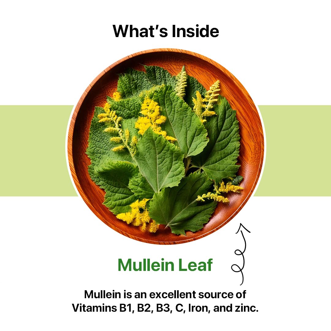 BLUE TEA Mullein Plant-Based Tea Bags, 50 Count – All Natural Mullein Leaf | Herbal Tea for Respiratory Support & Detox | Caffeine-Free, Non-Bitter | Plant-Based Pyramid Tea Bags | No Additives, Premium Ziplock Pack | Straight from the Himalayas