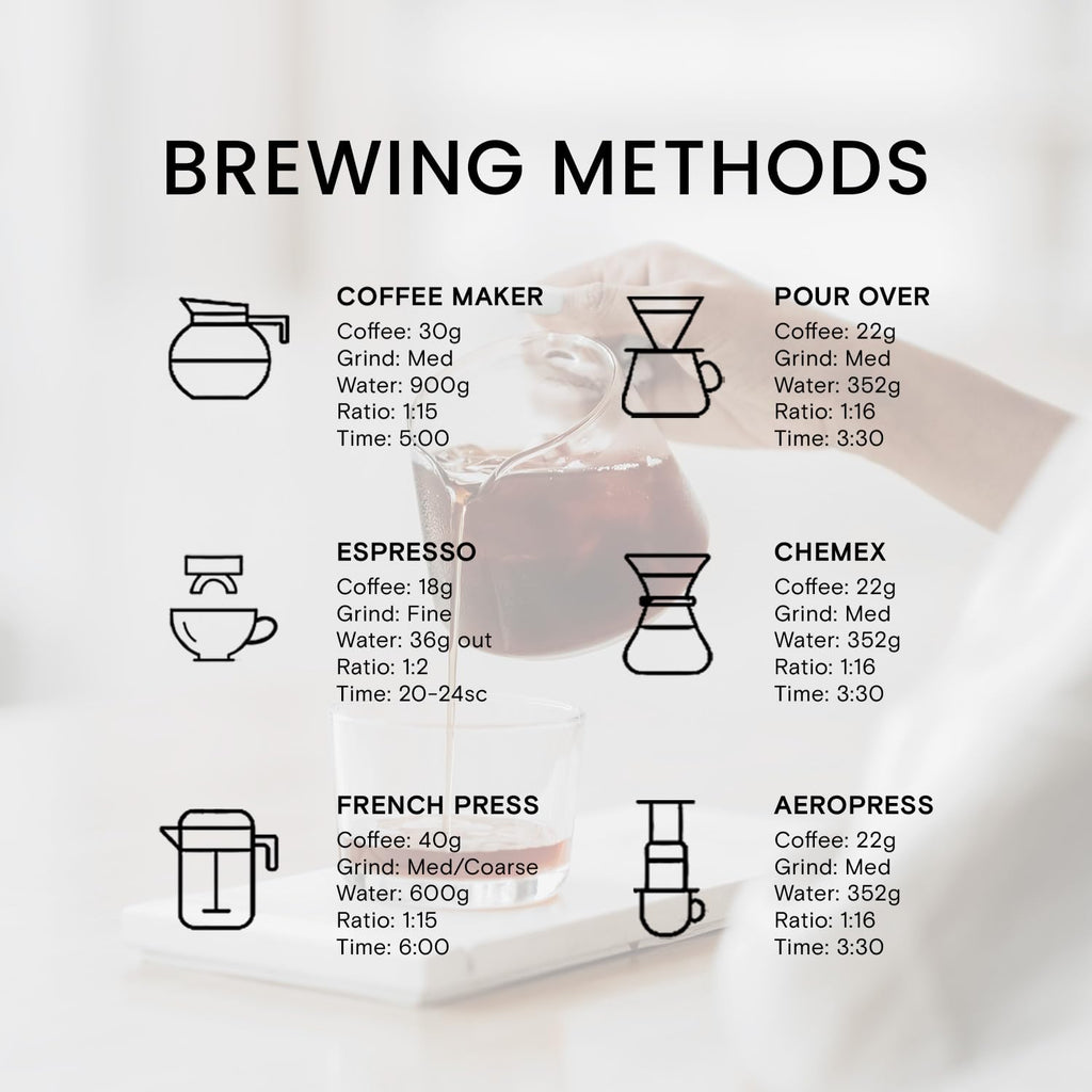 Reborn Coffee Specialty Whole Bean Coffee, Medium Roast, 12 Ounce, Reborn Signature Floresta Espresso Blend, Flavor Notes of Vanilla, Milk Chocolate, and Orange Marmalade