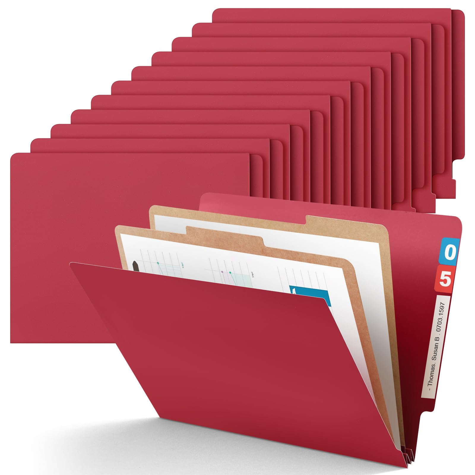 Skyygemm 24 Pack Classification Folders, Letter Size,2 Dividers,Dark Red