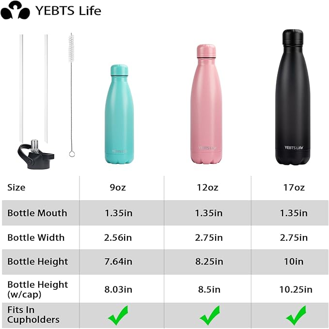 Insulated Water Bottle, 2 Pack-9oz Stainless Steel Water Bottles with straw lid, Metal Sports Water Bottles for Boys,Girls, Double Wall Vacuum BPA-Free Flask for Sports (Black-Sliver)
