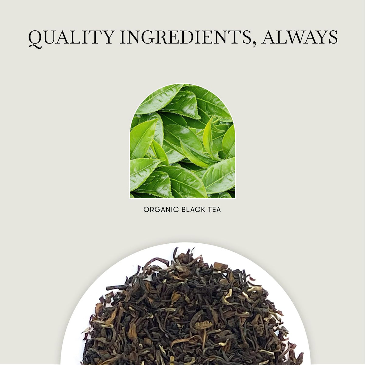 Luxmi Estates Queen of the Hills Organic Darjeeling Black Tea Loose Leaf 50 Cups (100g/3.5oz) | Direct from Garden