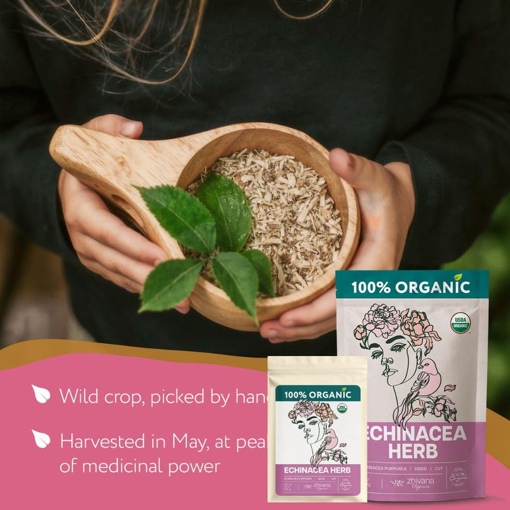Super Value Pack 5LB – Organic Echinacea Leaf Bulk – Echinacea Purpurea