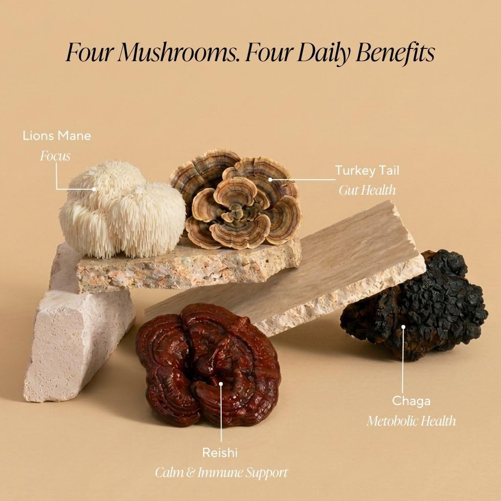 OM MUSHROOM SUPERFOOD Hot Chocolate Blend – Dutch Cocoa with Lion’s Mane, Reishi, Chaga & Turkey Tail – Supports Focus, Calm & Stress Relief – 2g Sugar, 25 Calories – 8.47 oz Canister (30 Servings)