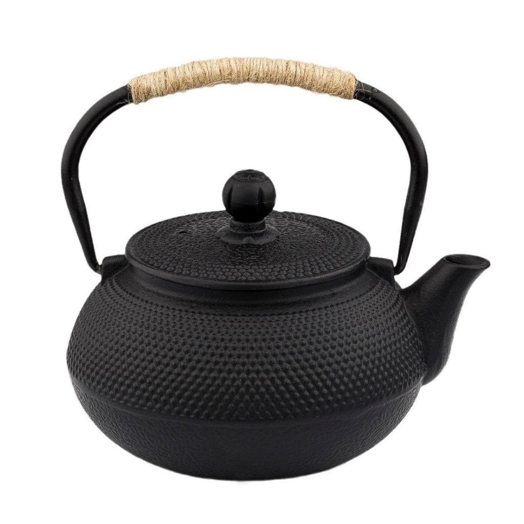20.3oz Only, Small Tea Kettle for 1-2 Cups, Japanese Tetsubin, Cast Iron Teapot with Stainless Steel Infuser for Loose Leaf & Coffee, Tea Pot for Stovetop Safe, Enamel Interior(Black, 600ml)