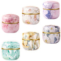 HAN SHENG 6 Pcs Tea Canister with Lids Tea Tins for Loose Tea Storage