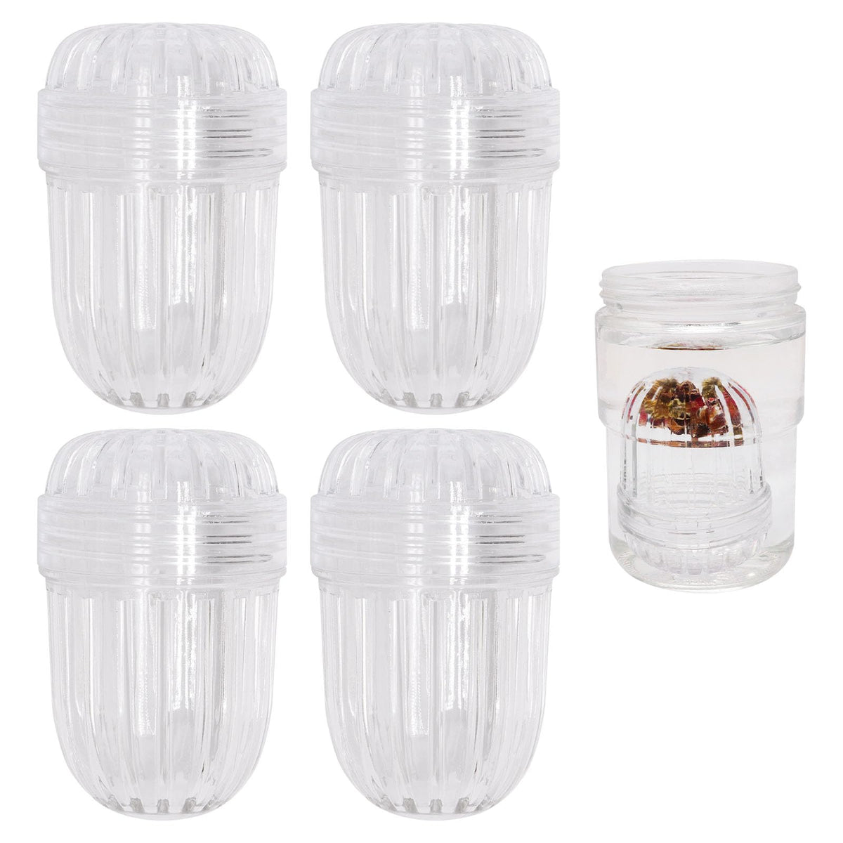 BUXIMN 4Pcs Fruit Infuser Insert for Wide Mouth Water Bottles, Flower Tea Infuser Bottle Ball, Leak-Proof Herb & Tea Strainer for Loose Leaf Tea, Floral Tea, Coffee, Fruit