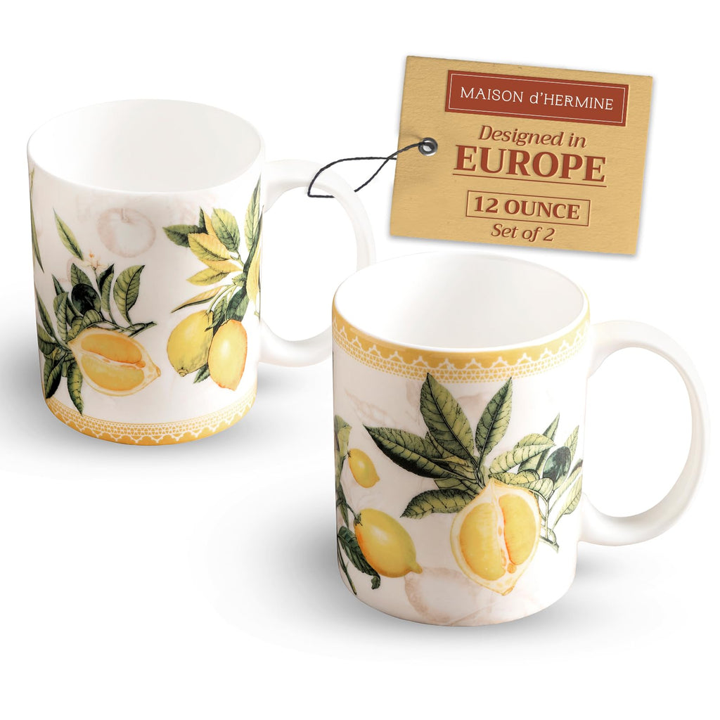 Maison d' Hermine Coffee Mug with Handles Tea Cups (12 Ounce, Pack of 2)