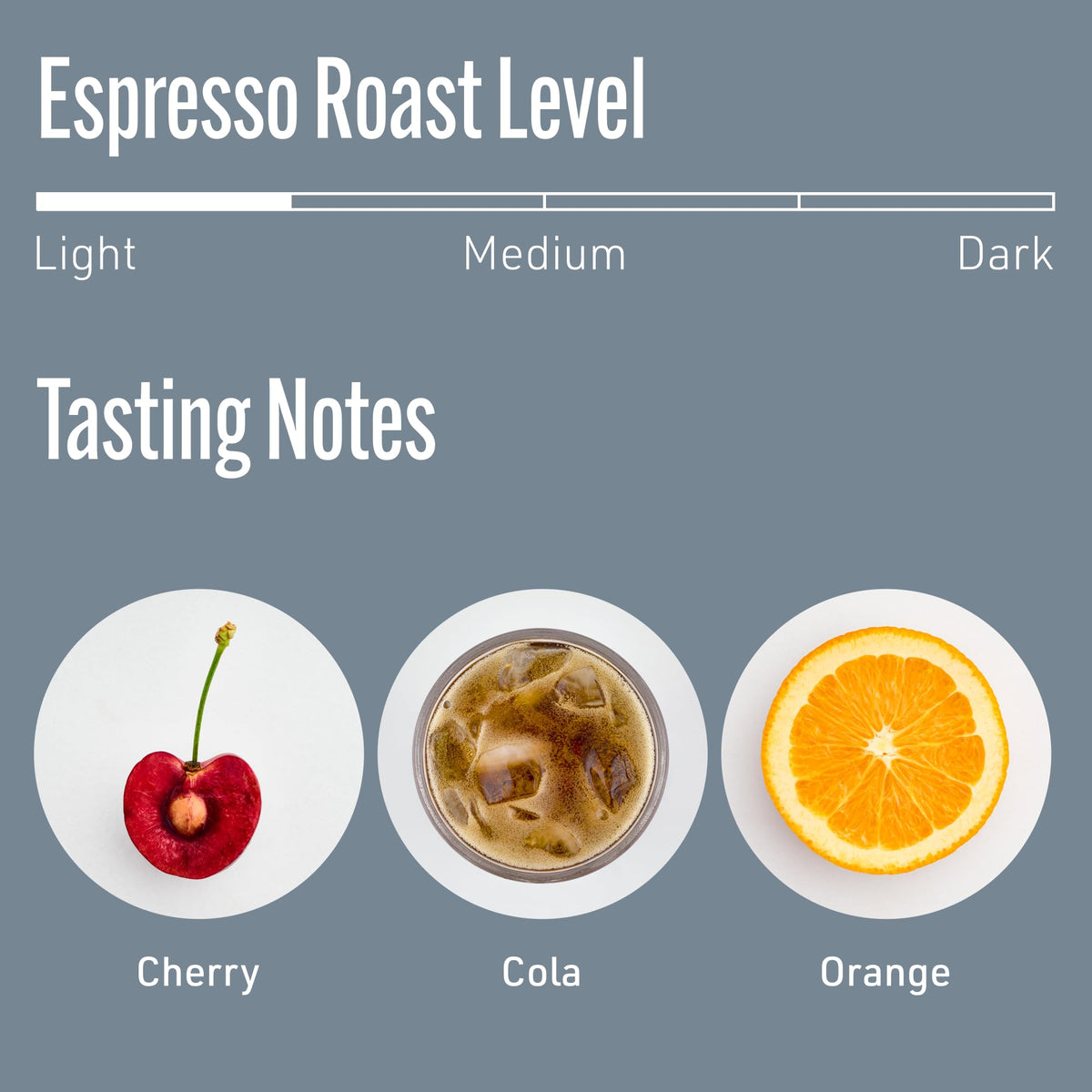 Intelligentsia Whole Bean Coffee, Light Roast, Black Cat Espresso 12 Ounces