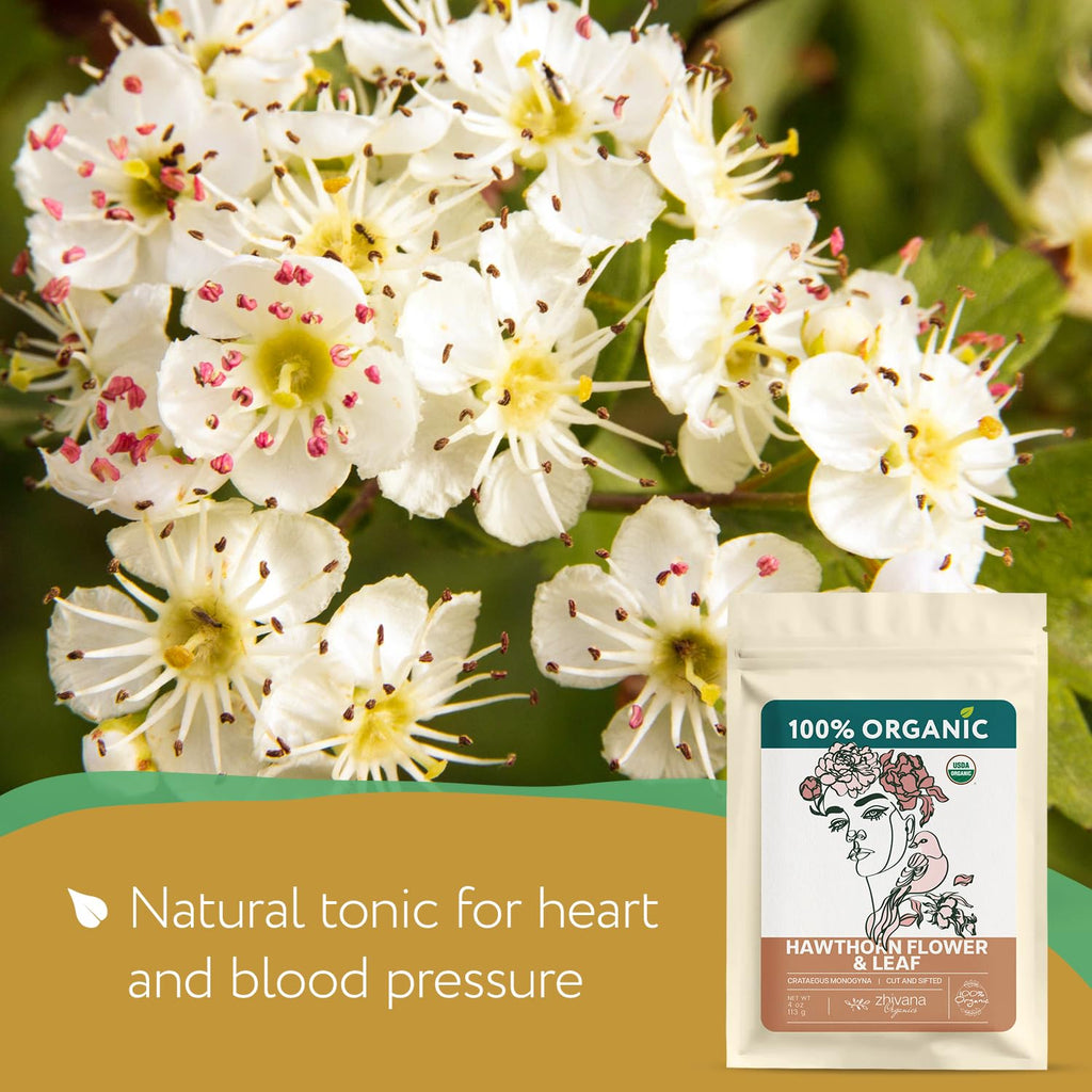 Super Value Pack 5 LB – Organic Hawthorn Leaf & Flower - Crataegus monogyna