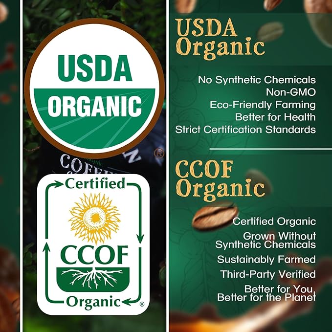 The Bean Organic Coffee Company Pumpkin Spice, Medium Roast, Ground Coffee, 16-Ounce Bags (Pack of 2),Café molido tostado organico