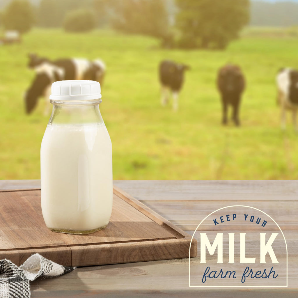 kitchentoolz 12 Oz Square Glass Milk Bottles with Lids (4 Pack) – Reusable Glass Creamer Bottles for Milk, Juice, and More – Includes Tamper-Proof Caps and One Silicone Pour Spout