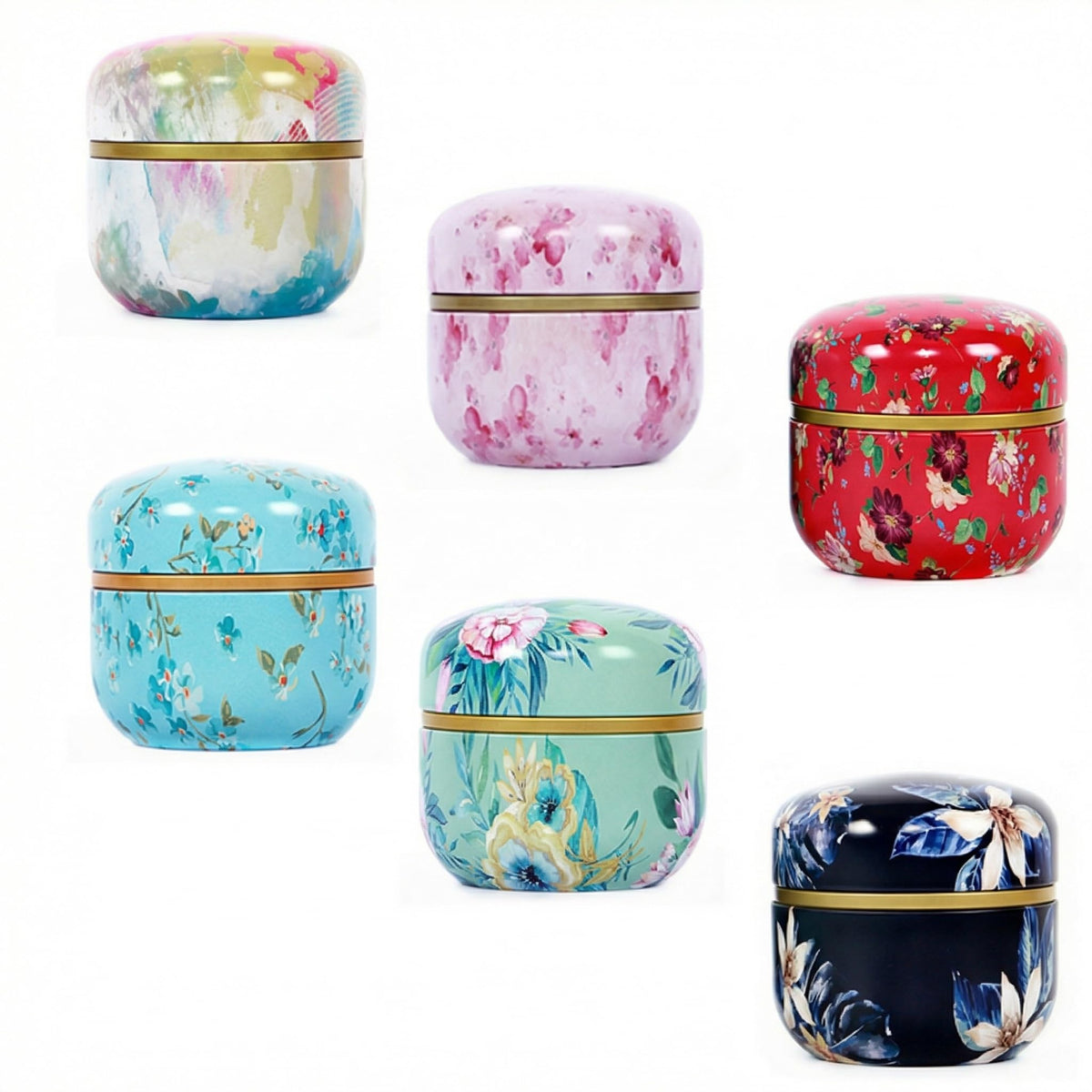 HAN SHENG 6 Pcs Tea Canister with Lids Tea Tins for Loose Tea Storage