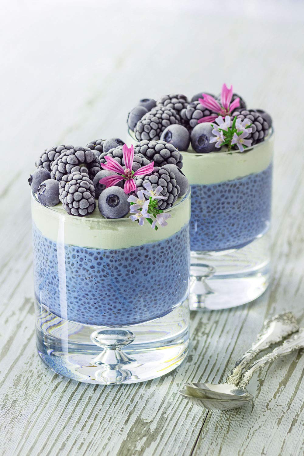 Blue Drink Spirulina Powder, Berry & Honey Refresher 12oz Blue Drink Mix Natural Food Colorant Perfect for Ice Mix Yogurts Baked Treats Loaded Tea Bubble Tea