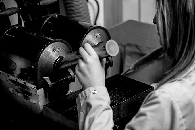 Bristot Cremoso Double Espresso Capsules – Medium Roast – Intense, Creamy, Full-Bodied – 11.2g – Compatible with Lavazza Blue Machines – 50 Count*