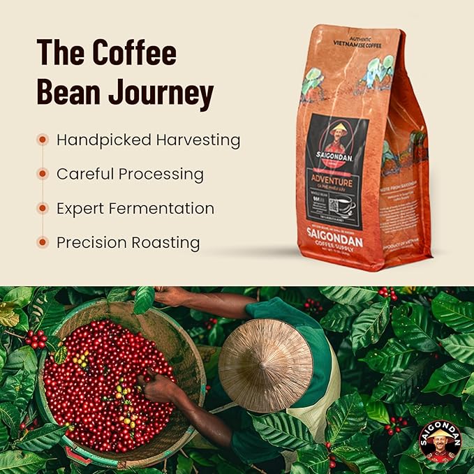 Robusta Whole Bean Coffee - Saigondan Adventure | Light Espresso Roast | 100% Robusta | Vietnamese Coffee | Roasted in Small Batch | Smooth & Naturally Sweet | Direct Trade | No Preservatives | 12 Oz