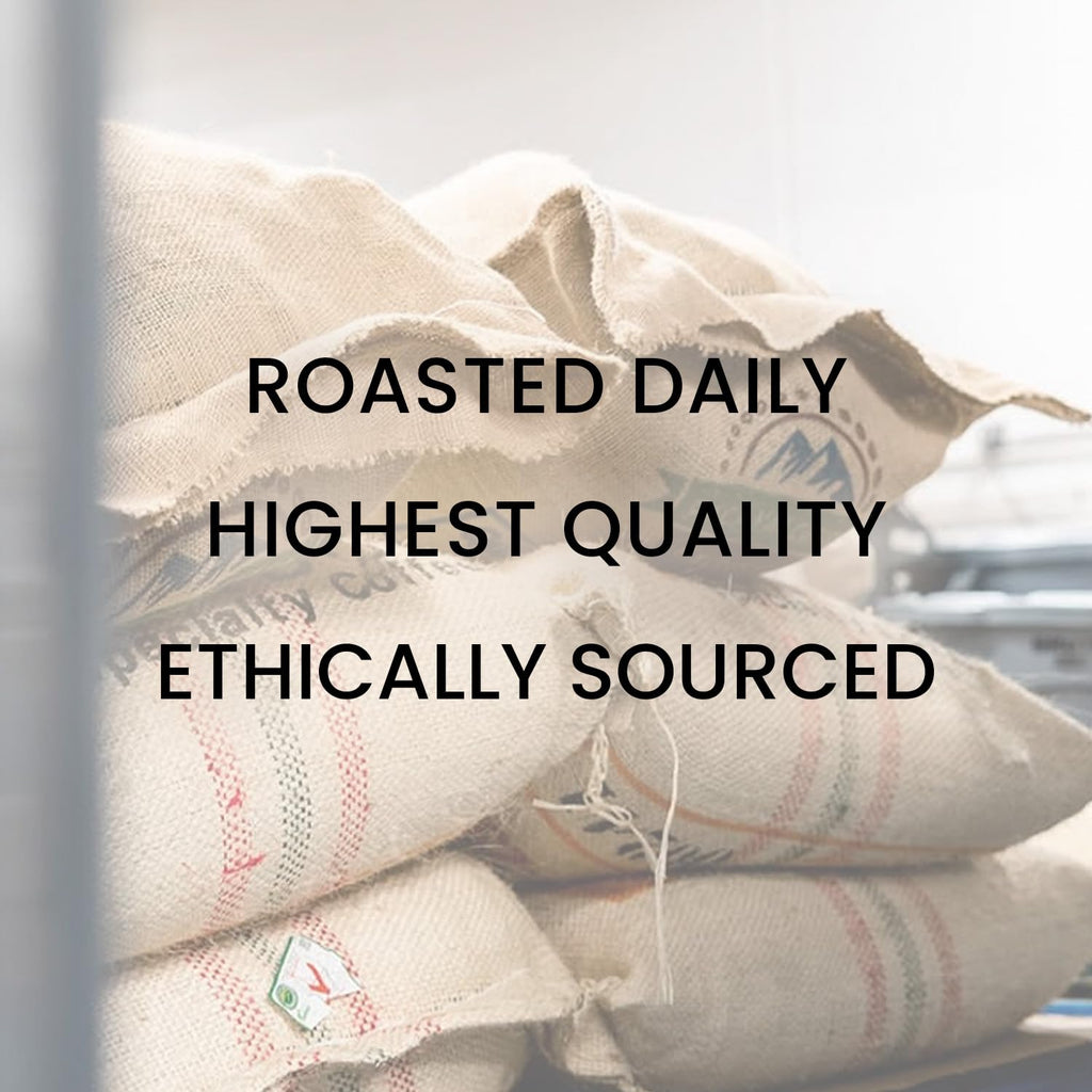 Reborn Coffee Specialty Whole Bean Coffee, Medium Roast, 12 Ounce, Reborn Signature Floresta Espresso Blend, Flavor Notes of Vanilla, Milk Chocolate, and Orange Marmalade