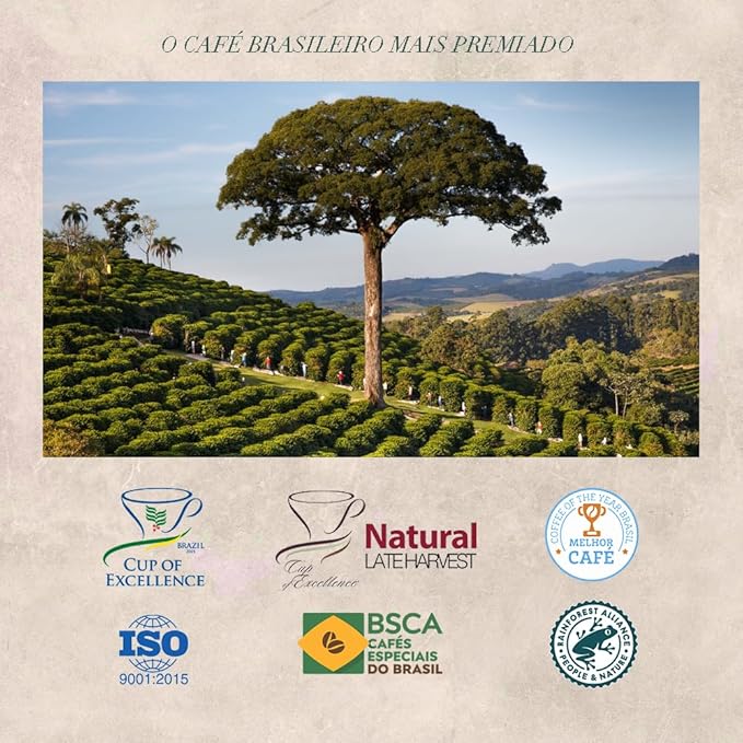 ORFEU - Special Coffee Classic Drip Sachet - 100% Arabica Coffee, Medium Roasted, Aroma of Floral, Fruity & Caramel, Balanced Acidity, Made In Brazil, Soft with Velvety Structure - 10 units, 100g