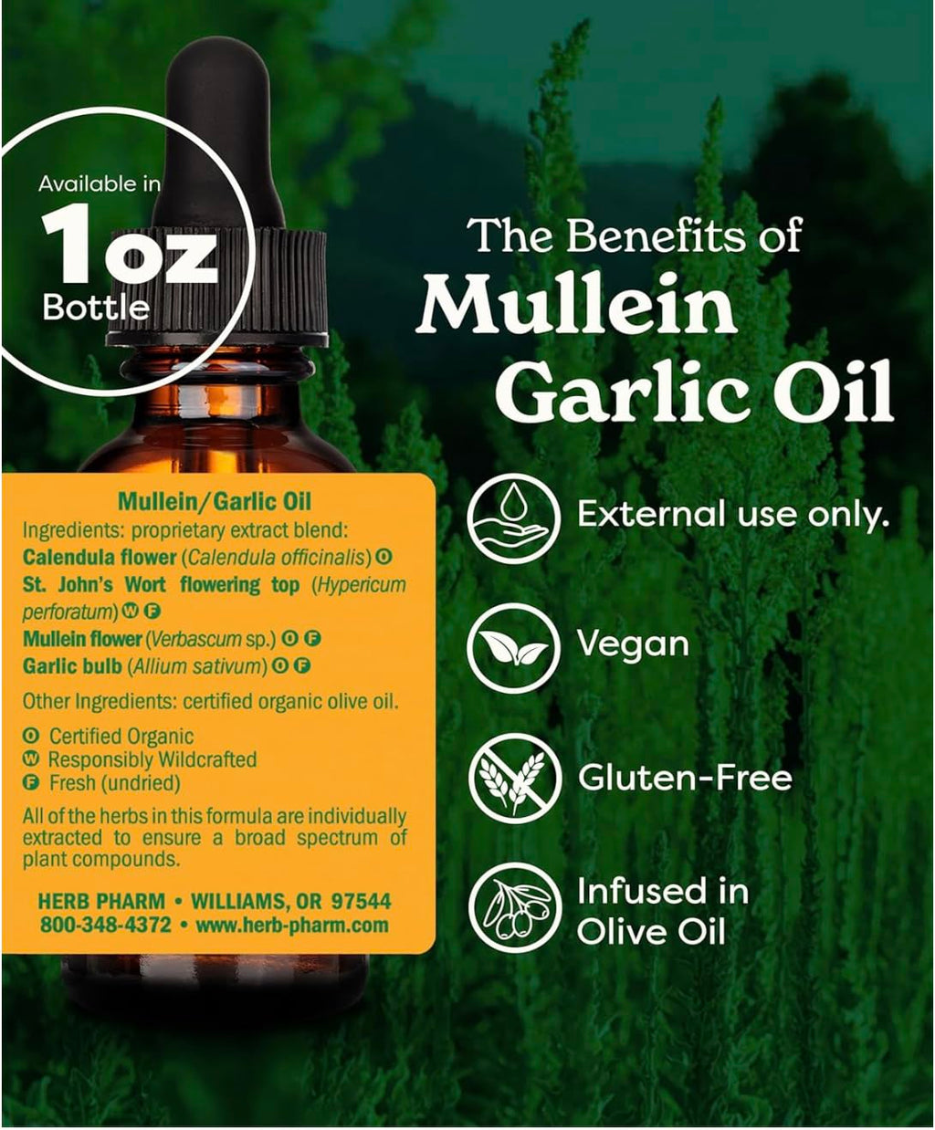 Herb Pharm Mullein Garlic Oil: Infused Oil for Topical External Use with Certified Organic Mullein Extract, Garlic Extract, Calendula & Responsibly Wildcrafted St. John's Wort, 1 oz