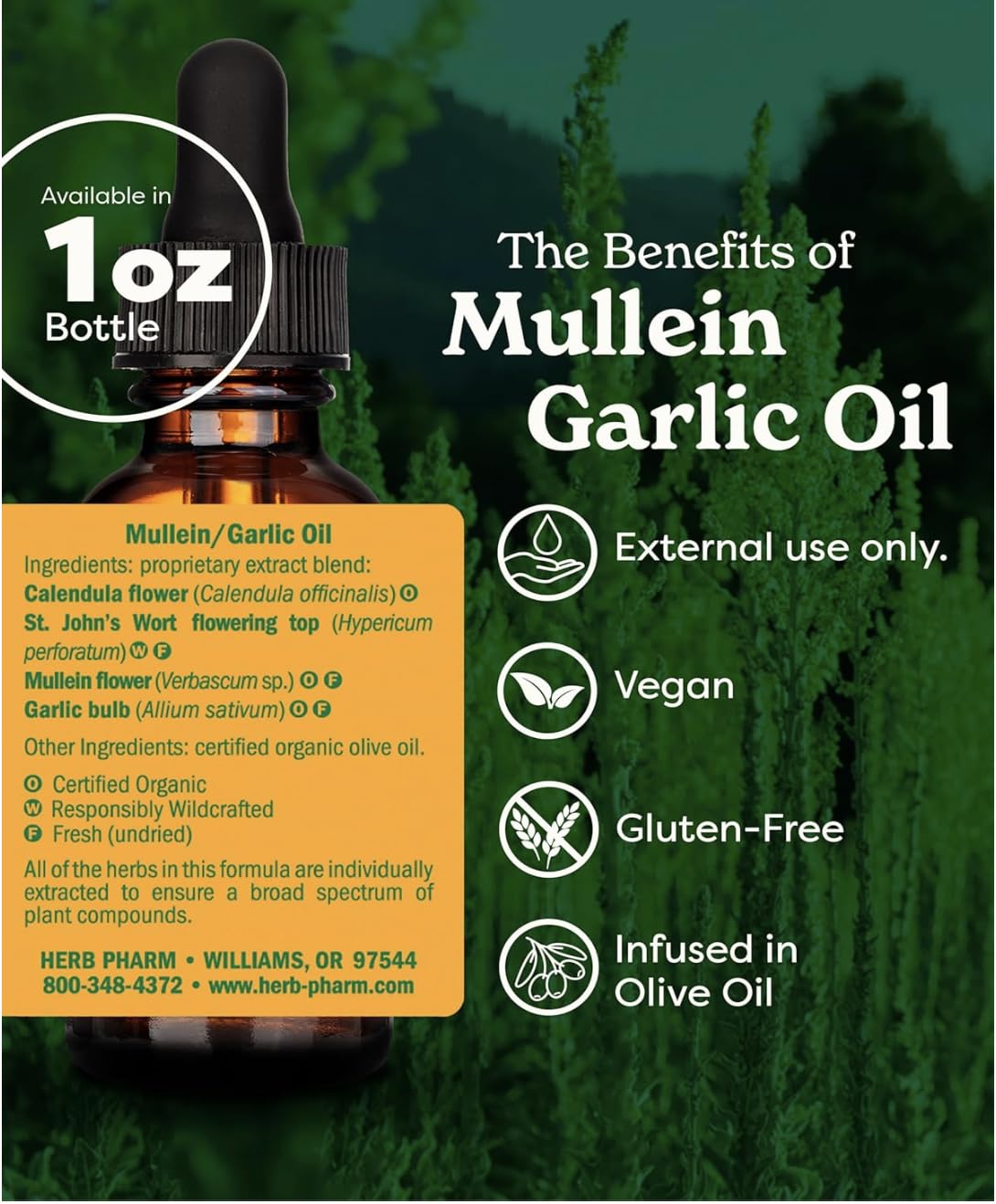 Herb Pharm Mullein Garlic Oil: Infused Oil for Topical External Use with Certified Organic Mullein Extract, Garlic Extract, Calendula & Responsibly Wildcrafted St. John's Wort, 1 oz