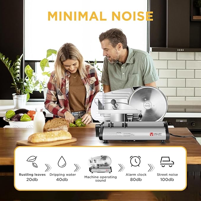 TOOGOOD 8.7" Meat Slicer, Electric Meat Slicer Machine with Removable Stainless Steel Blade, Deli Food Slicer for Home Use, Slicing Frozen Meat,Hard Cheese, Ham and Deli, Silver