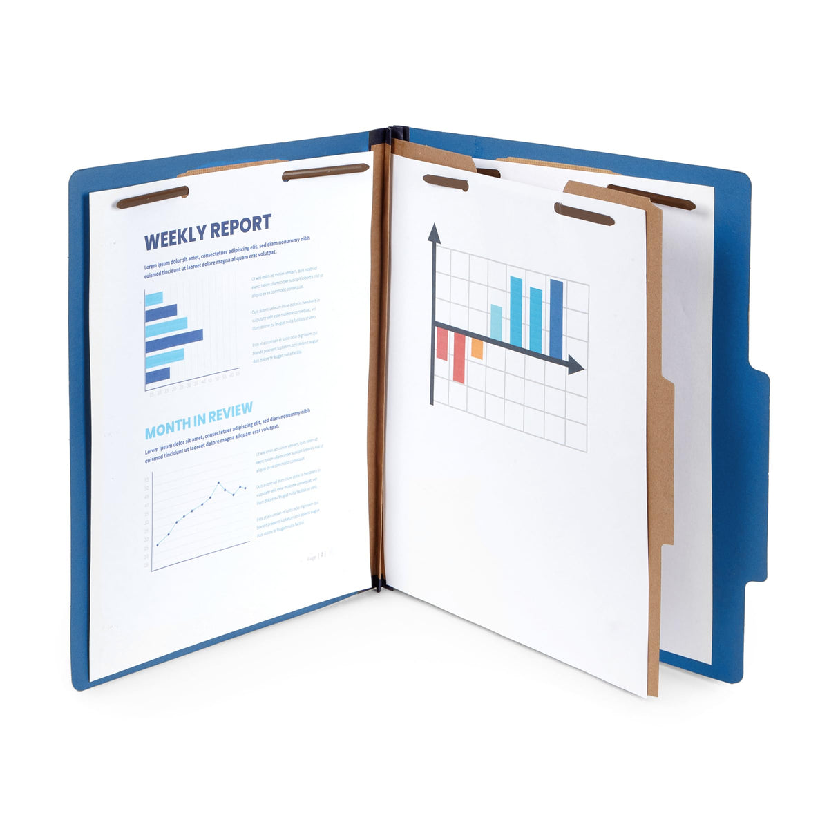 Blue Summit Supplies 10 Dark Blue Classification Folders, 1 Divider, Letter