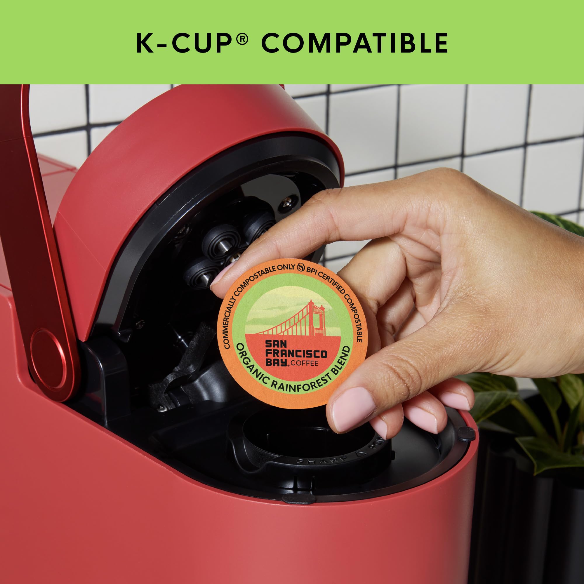 San Francisco Bay Organic Rainforest Blend K-Cup Compatible Pods, 120 ct
