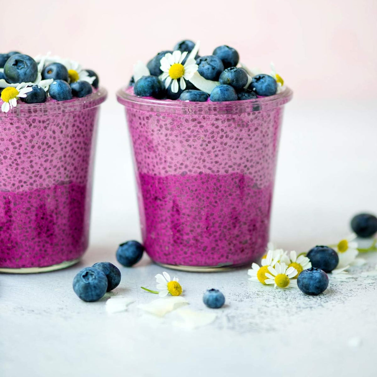 Suncore Foods Organic Indigo Blueberry Powder 5oz | Gluten Free | Vegan