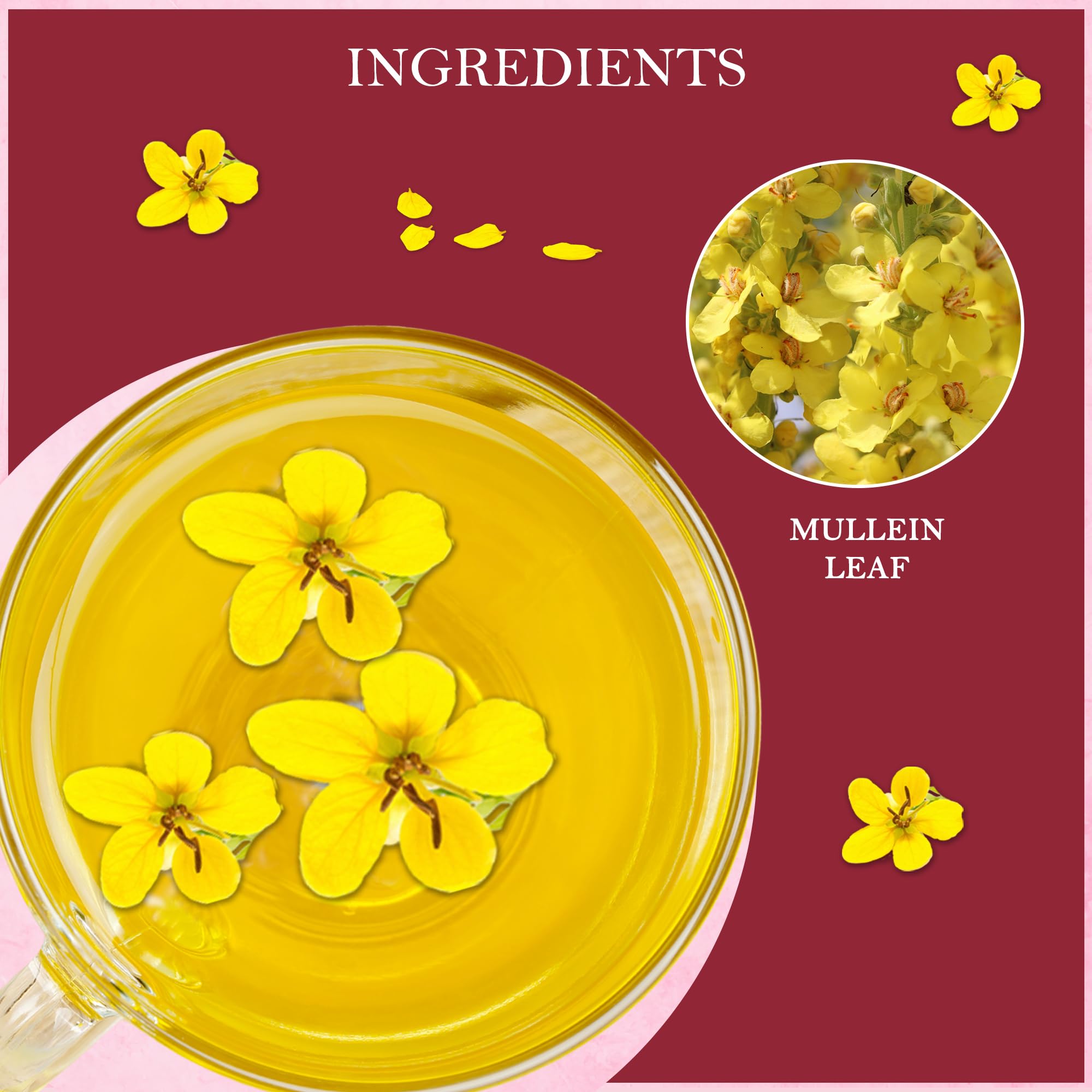 Tealeaf & Co. Mullein Leaf Tea Blended with Fresh Herbs - Pure Herbal Tea Bags with Mullein Leaf Extract - Flavored Herbal Blend - Low Caffeine - Gluten Free - 50 Teabags