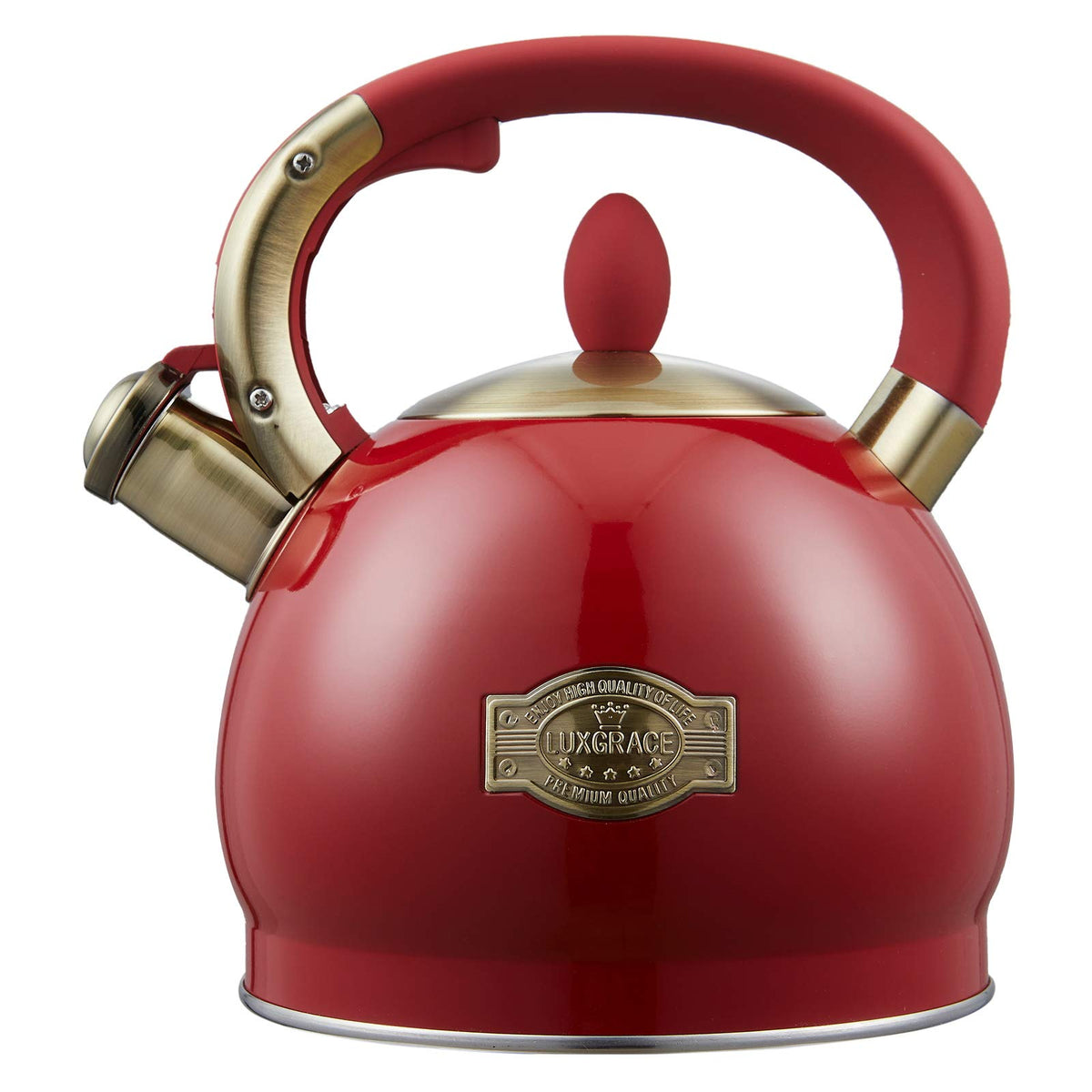 Stove Top Whistling Tea Kettle- Stainless Steel Teakettle Teapot with Ergonomic Handle 2.6 Quart(Black)