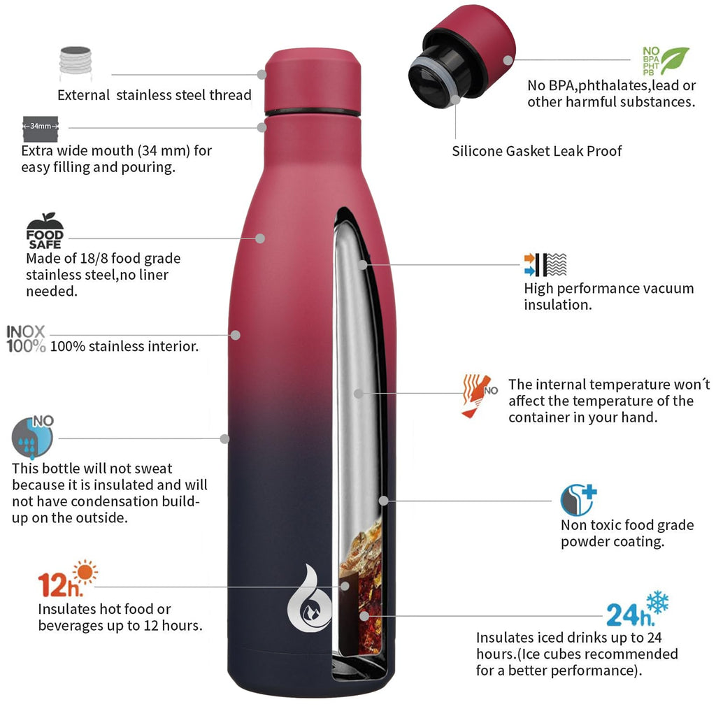 BJPKPK 25 oz Insulated Stainless Steel Water Bottle, Metal Sports Flask