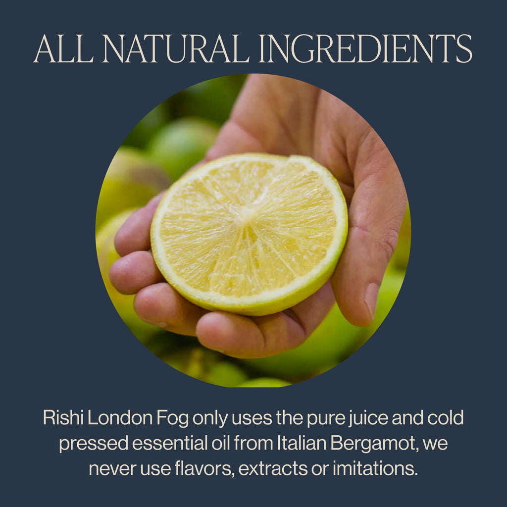 Rishi Tea London Fog Latte, Organic Black Tea Concentrate, 96 Fl Oz