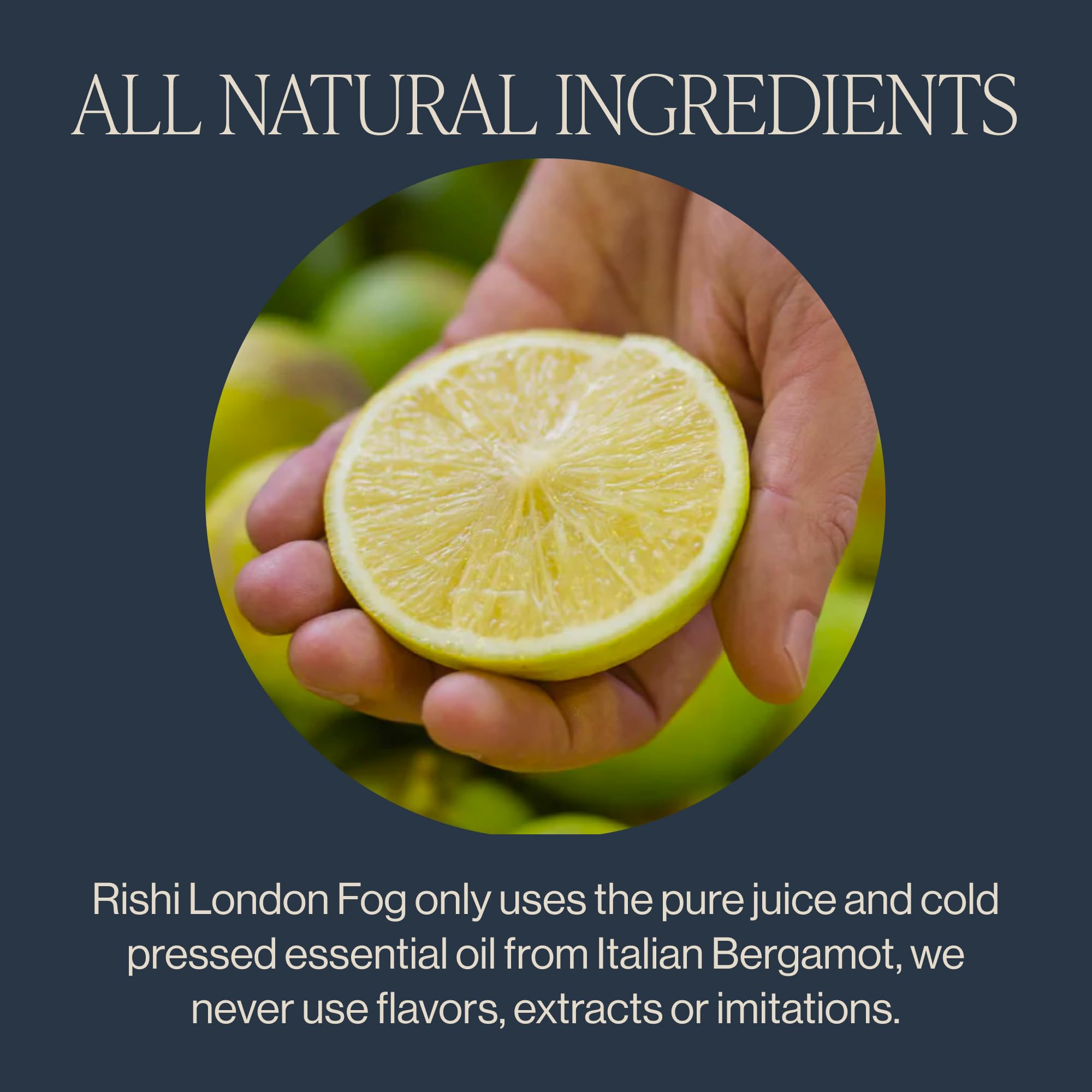 Rishi Tea London Fog Latte, Organic Black Tea Concentrate, 96 Fl Oz
