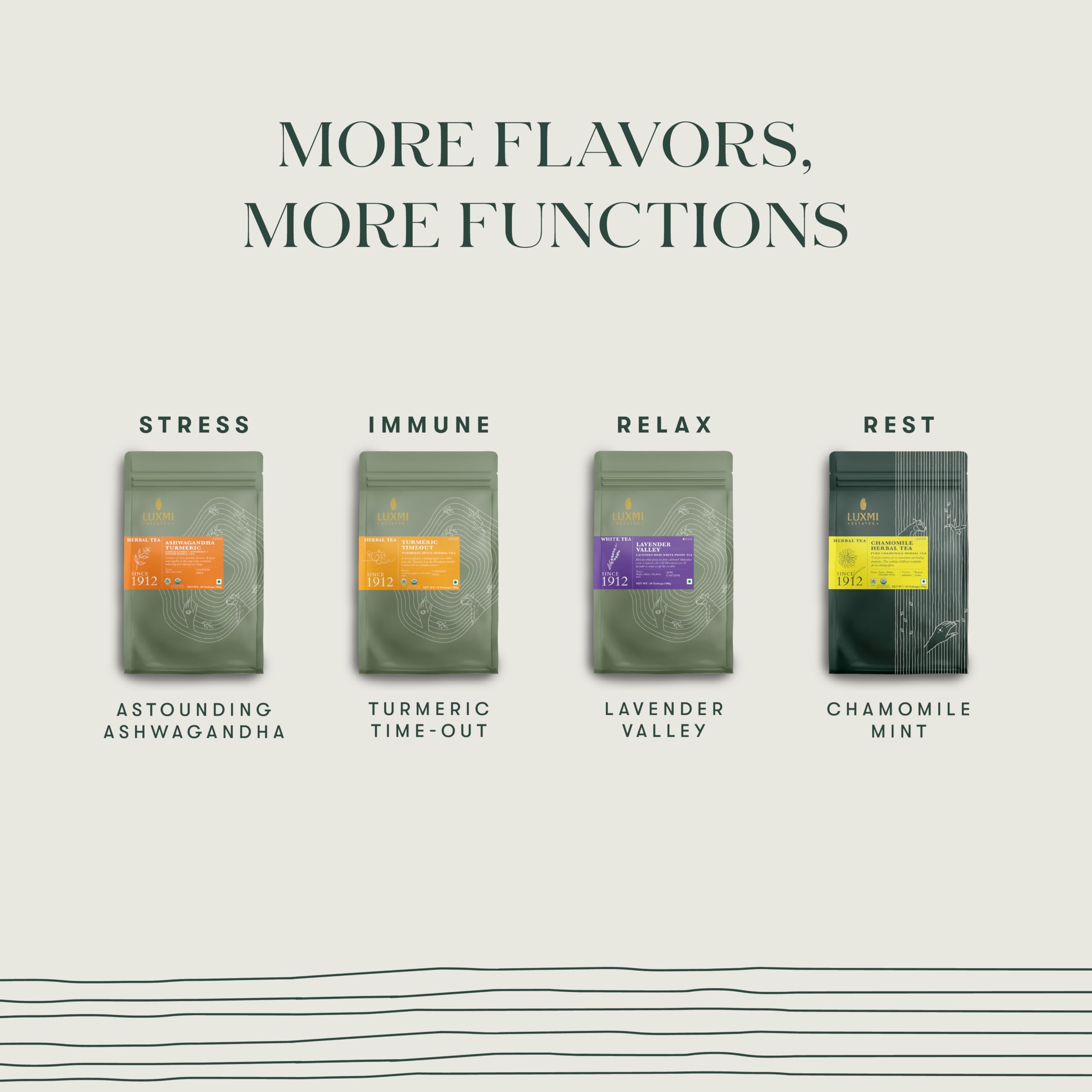 Luxmi Estates Orange Spice Darjeeling Black Tea for Caffeinated Morning Boost Natural Energy | 50 Biodegradable Teabags (50 cups)