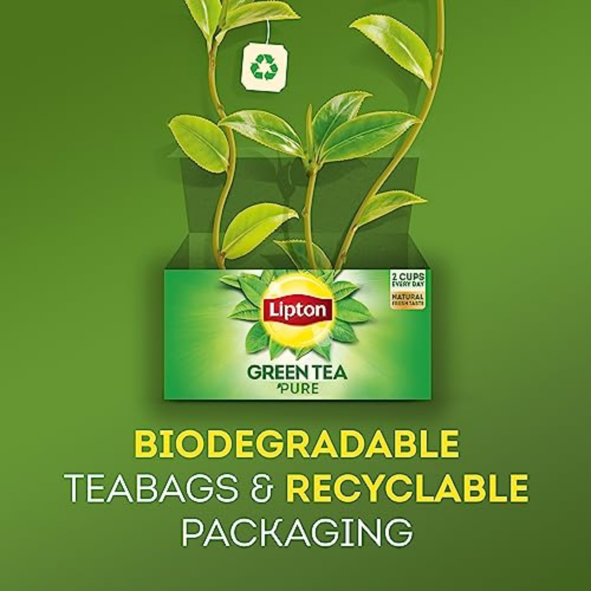 Lipton Honey Ginger Green Tea Bags, 120 Count (20 Count 6-Pack)