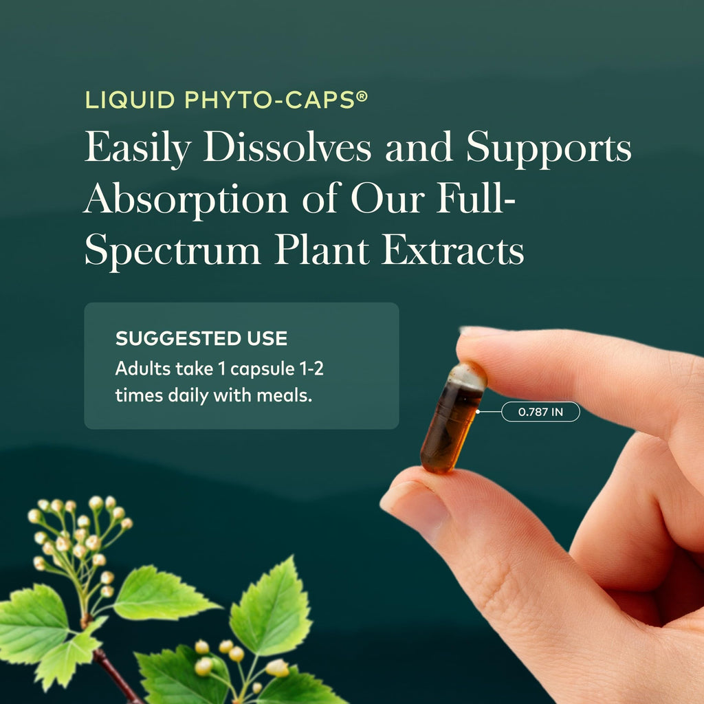Gaia Herbs Turmeric Supreme Extra Strength - Helps Reduce Occasional Discomfort from Normal Wear & Tear*- 616 mg Organic Turmeric Curcumin Supplement with Black Pepper- 120 Vegan Liquid Phyto-Capsules