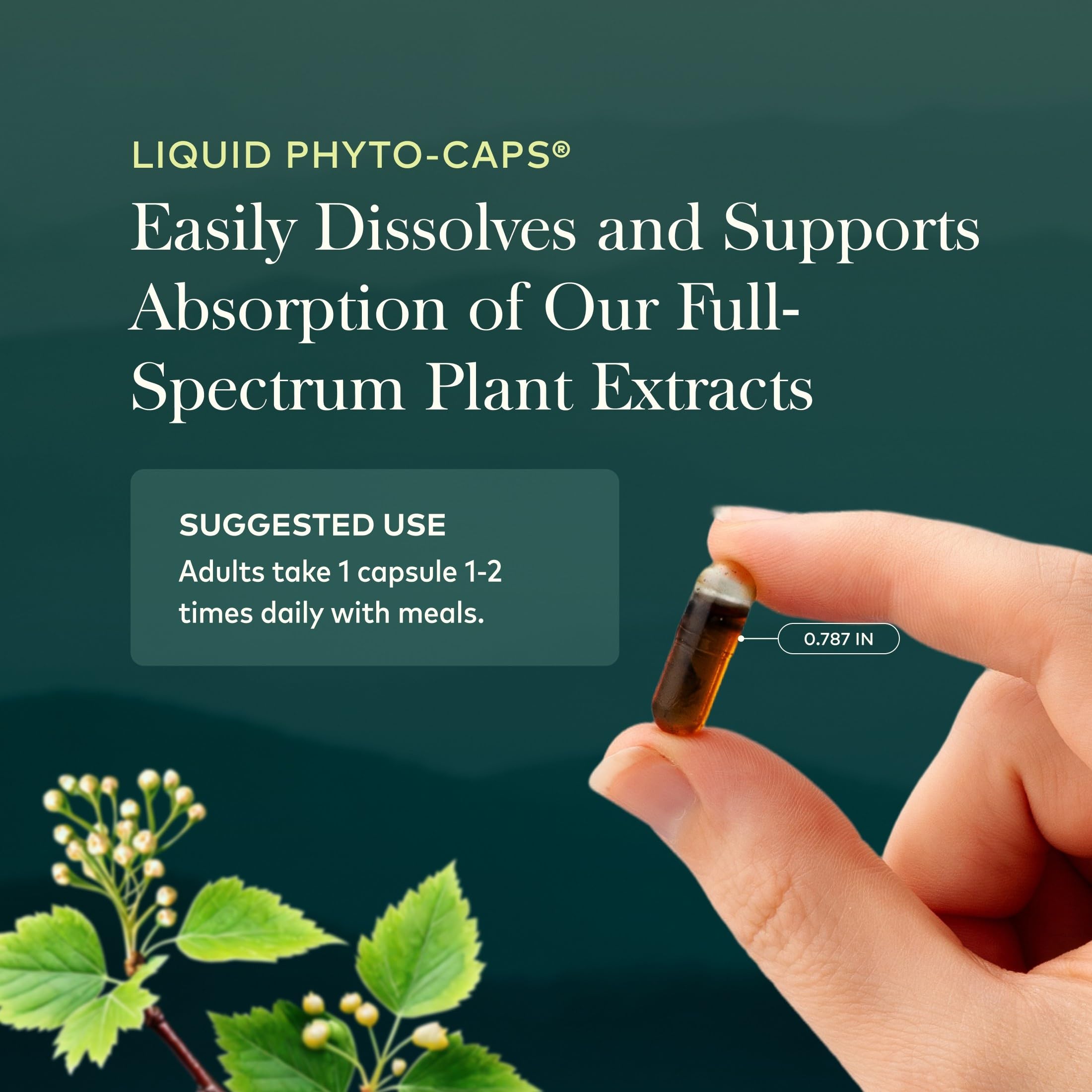 Gaia Herbs Turmeric Supreme Extra Strength - Helps Reduce Occasional Discomfort from Normal Wear & Tear*- 616 mg Organic Turmeric Curcumin Supplement with Black Pepper- 120 Vegan Liquid Phyto-Capsules