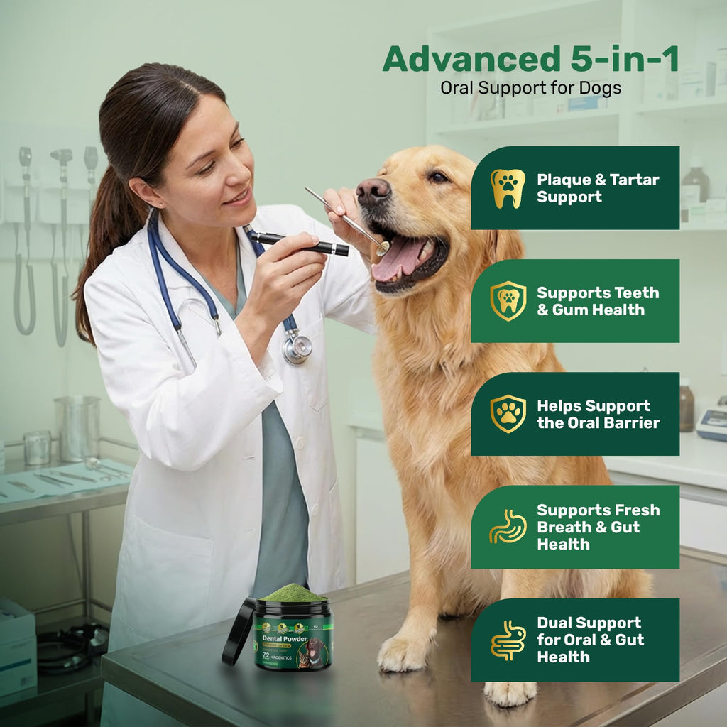 Dogbiotics Dog Dental Powder - Plaque Off Powder - Dog Teeth 5.3 OZ with Biotic - Bamboo Kit for Dog Dental Powder