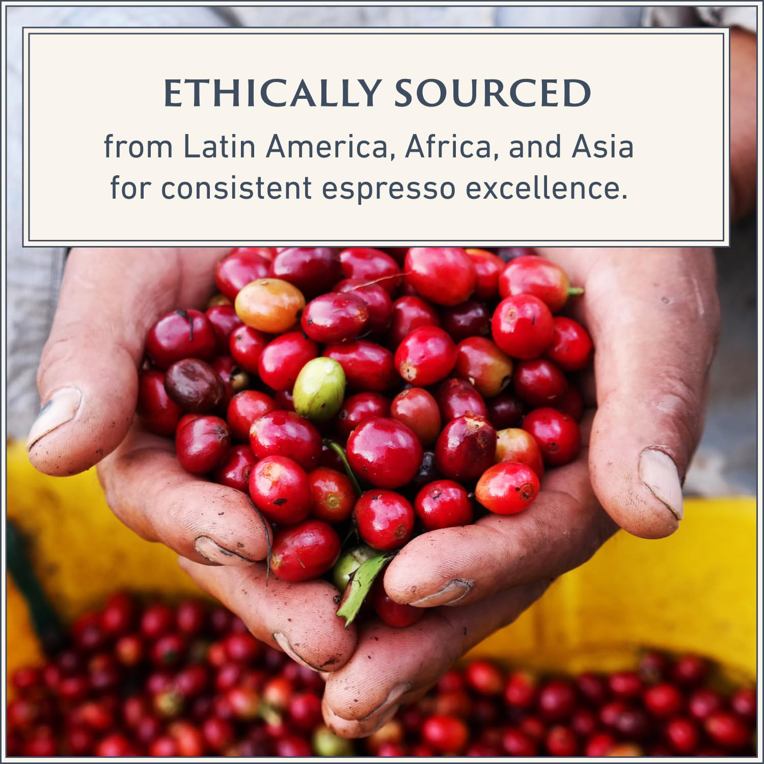 Italian Espresso Beans, Medium Roast Arabica Robusta, Whole Bean Coffee