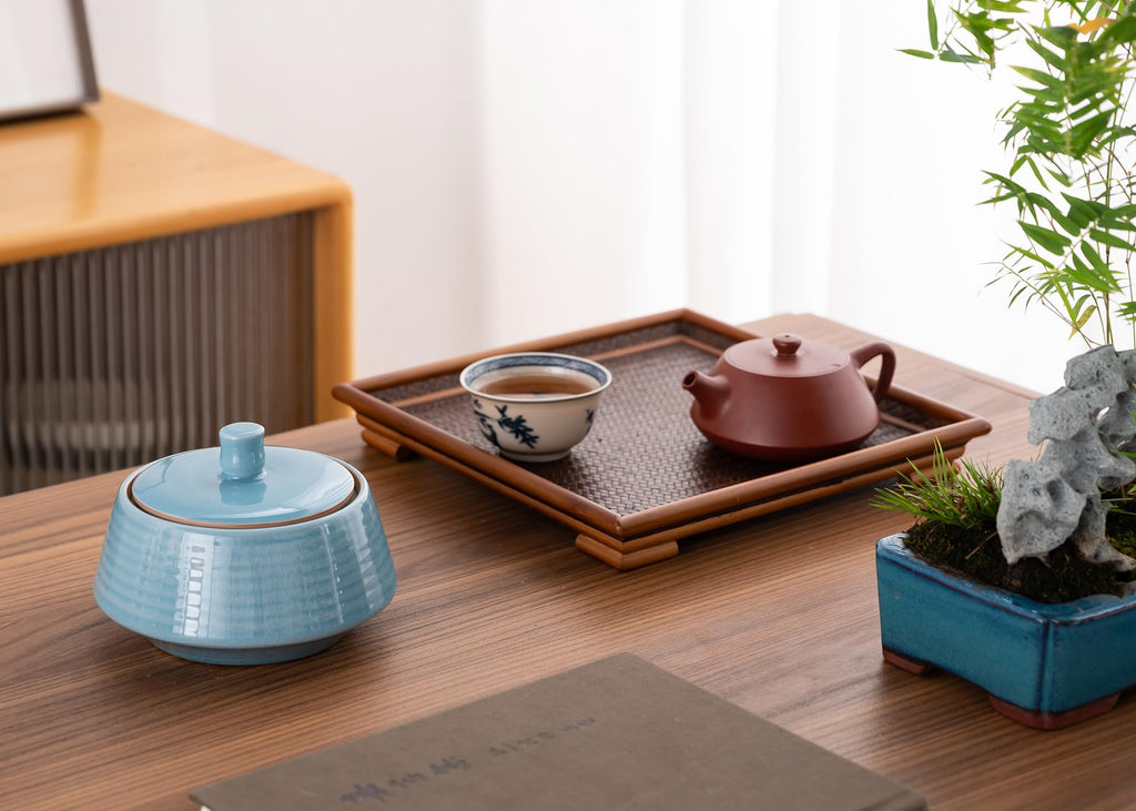 Amoysanli Small Kitchen Ceramic Canister Storage Jar with Lid Blue(ICE)