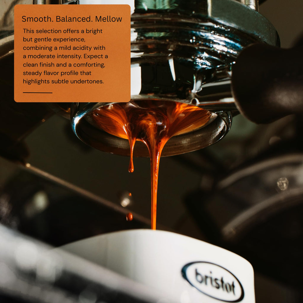 Bristot 100% Arabica Italian Espresso Beans – Medium Roast Coffee – Smooth & Aromatic with Notes of Biscuit, Caramel & Toasted Bread – 1.1 lb (500 g)
