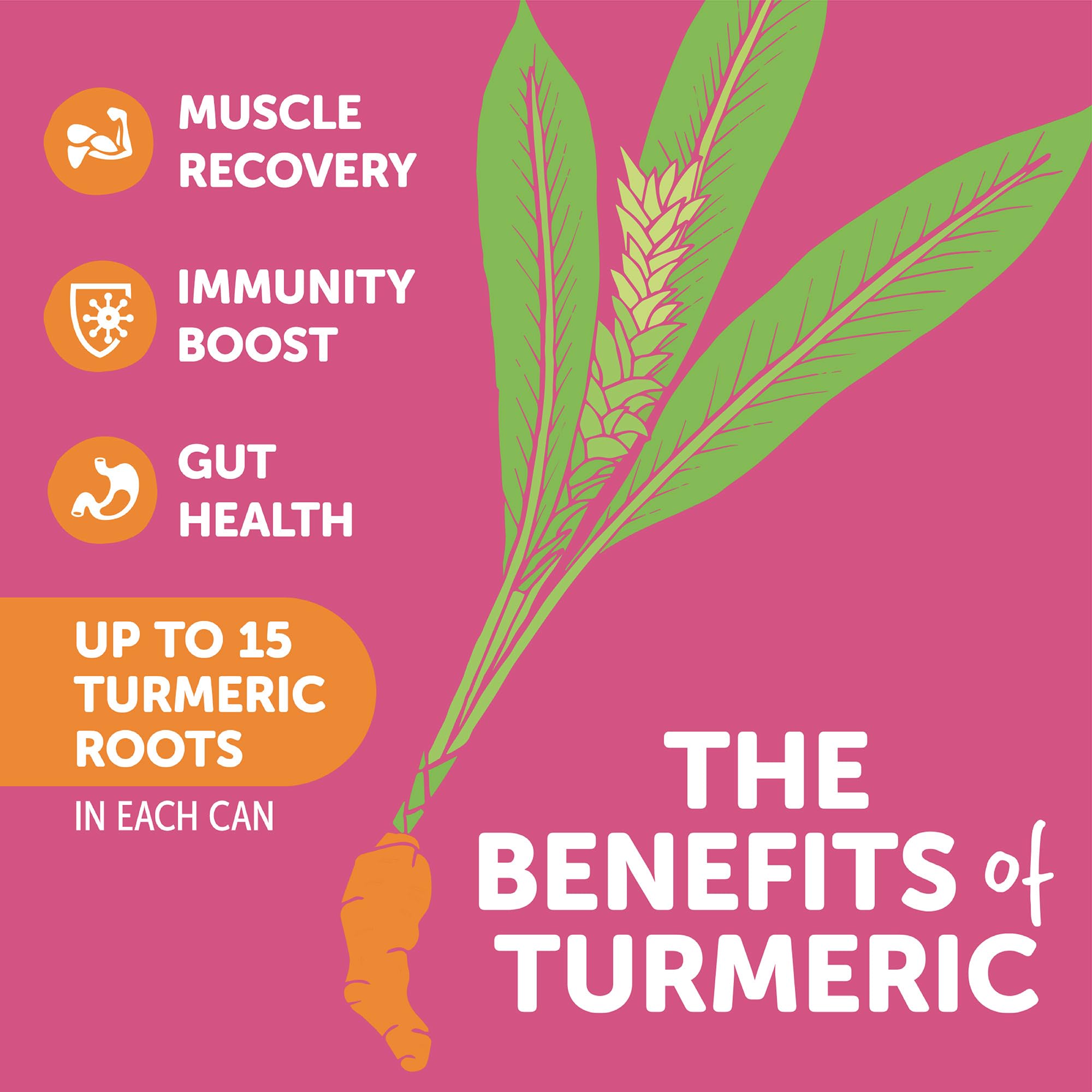 ZYN Tasty Turmeric Drink Low Cal, No Added Sugar Mixed Berry, 6 Pack