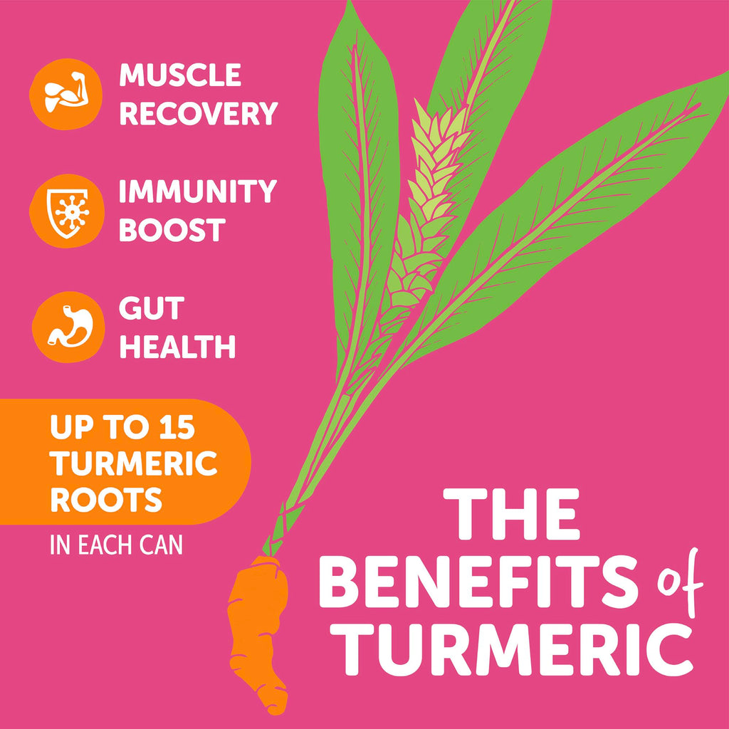 ZYN Tasty Turmeric Drink Low Cal, No Added Sugar Mixed Berry, 6 Pack